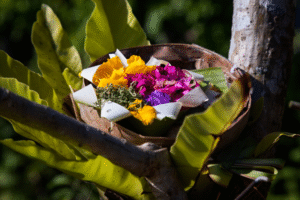 bali canang sari balinese offering