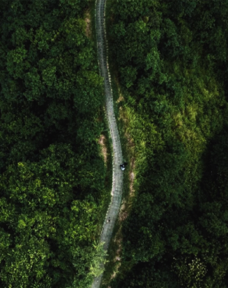 things to do in ubud - campuhan ridge walk