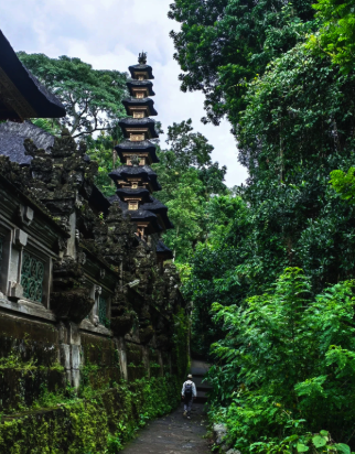 things to do in ubud - campuhan ridge walk temple at the front