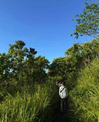 things to do in ubud - campuhan ridge walk 