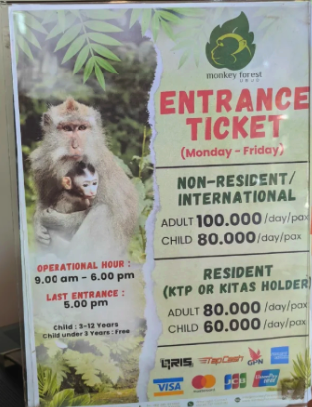 what to do in Bali - Sacred Monkey Forest Sanctuary