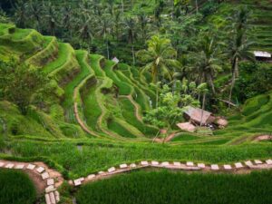 ubud